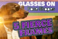 A Doberman in sunglasses and a leather jacket with bold comic-style text reading “Glasses on Face Shapes: 5 Fierce Frames.”