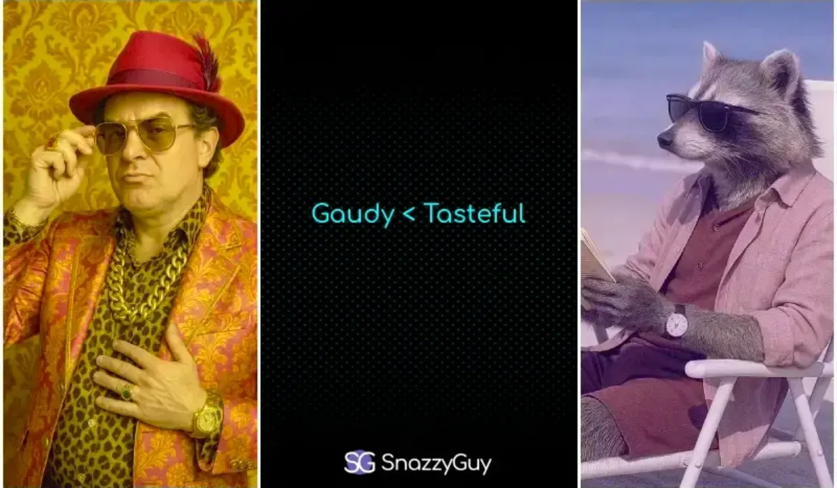 Side-by-side comparison of gaudy vs. tasteful style, featuring a flashy man in pink and a stylish raccoon in muted tones, with text "Gaudy < Tasteful" and SnazzyGuy branding.