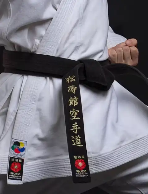 Mens accessories - Karate belt A close-up of a martial artist wearing a black belt and white gi, showcasing detailed embroidery and men's accessories tags.