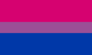 The bisexual pride flag with horizontal stripes of pink, purple, and blue often used in expressive Pride outfits.