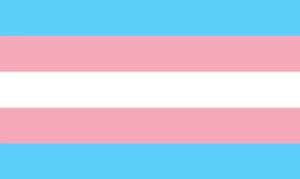 The transgender pride flag with blue, pink, and white stripes used widely in empowering Pride outfits.