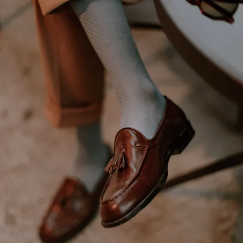 Brown tassel loafers shown among classic types of men's shoes.